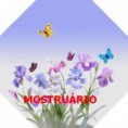 /album/mostruario1/flores-8-lados-jpg/